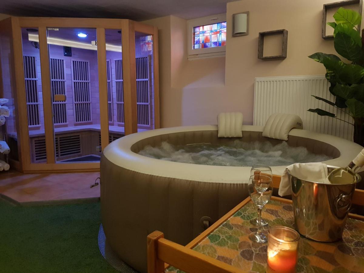 Vila Nejdek - Erzgebirge Aparthotel Buitenkant foto