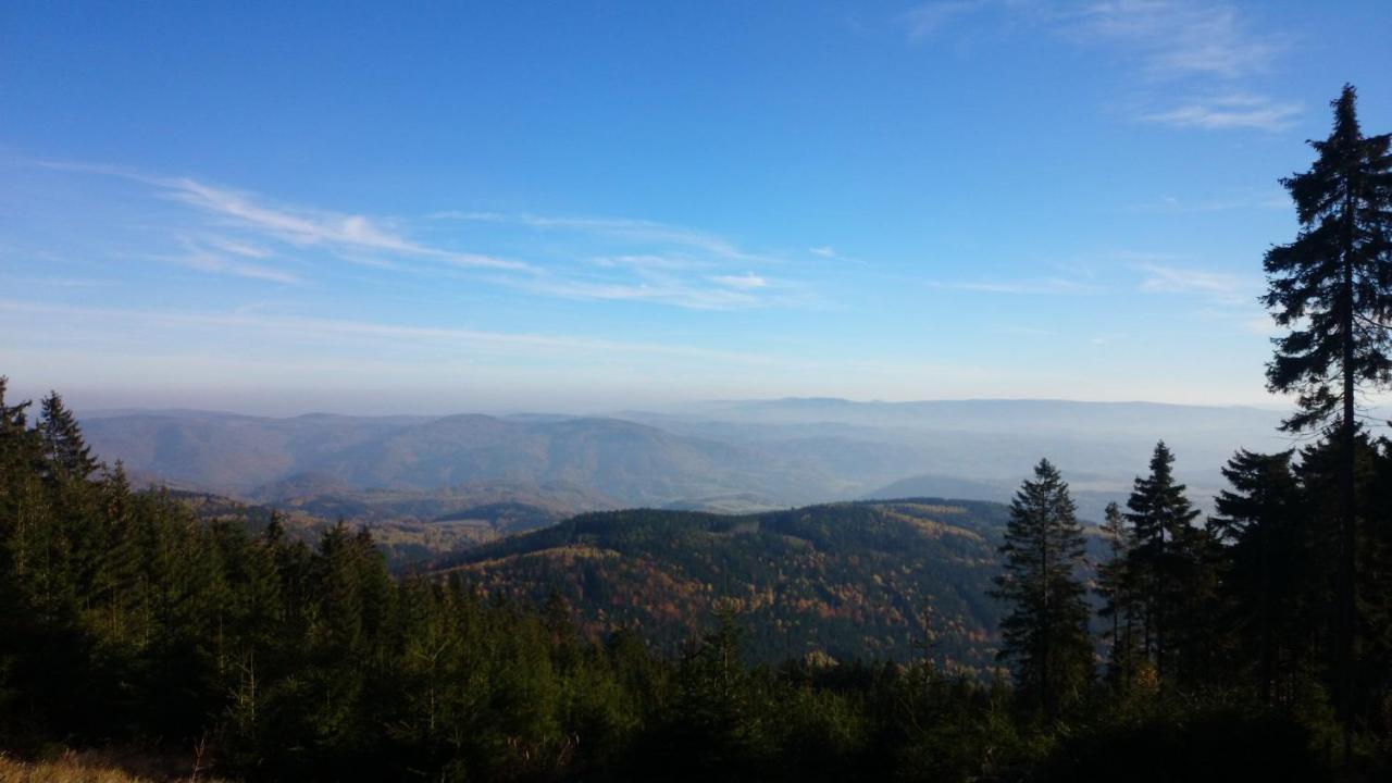 Vila Nejdek - Erzgebirge Aparthotel Buitenkant foto